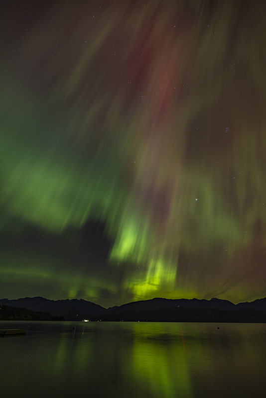 ralphie_I1A7525(1).jpg :: @ralphie.ca