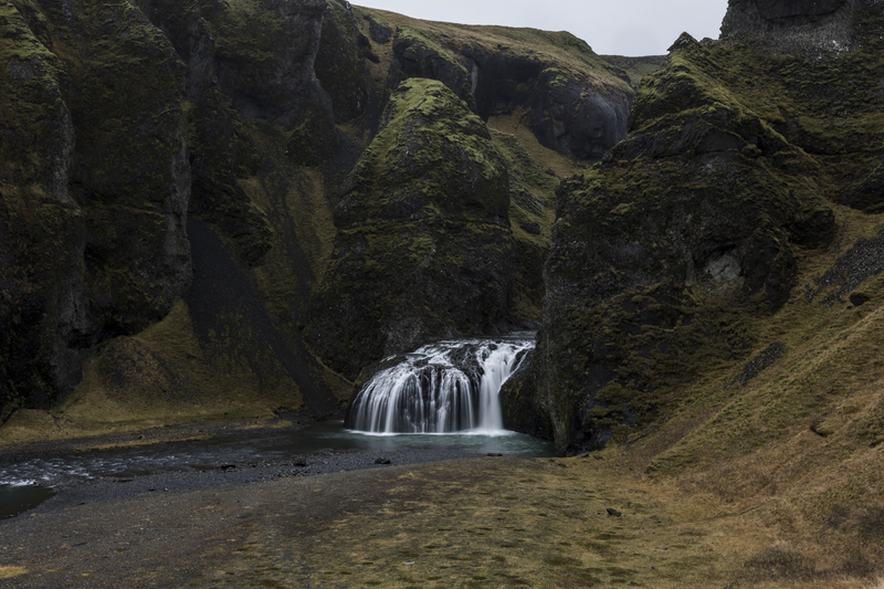ralphie_I1A7662(3).jpg :: @ralphie.ca
