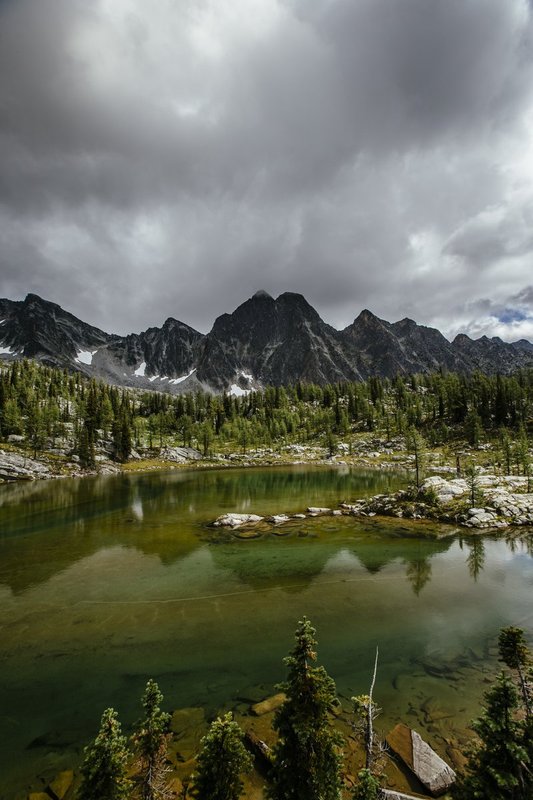 ralphie_65U7241.jpg :: Monica Meadows, British Columbia