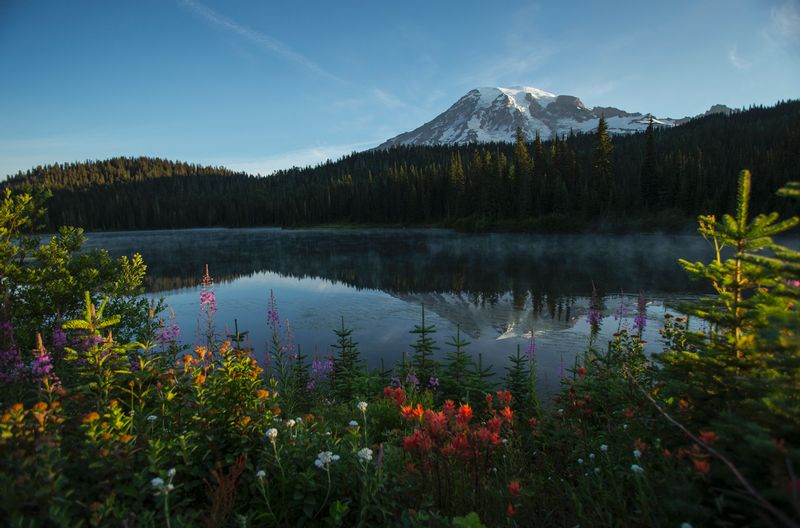 ralphie__65U6836.jpg :: Mt. Rainier in late summer. Washington