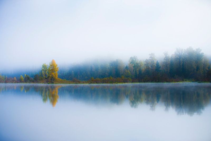 ralphie_65U1561.jpg :: like a painting. Nelson, BC