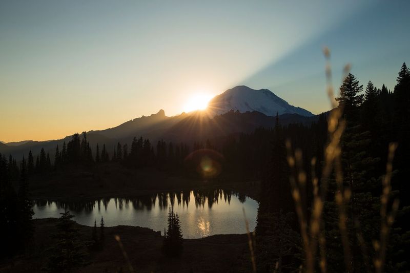 ralphie_65U6398.jpg :: Mt Rainier
