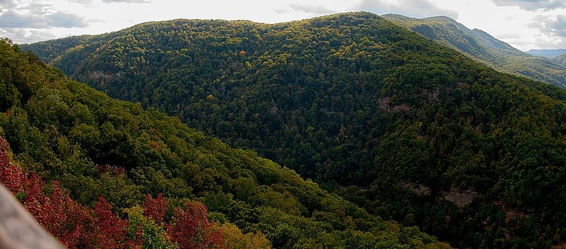 DSC_2935-2.jpg