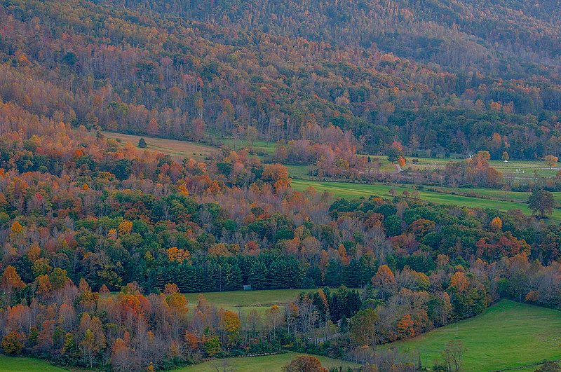 DSC_3028.jpg