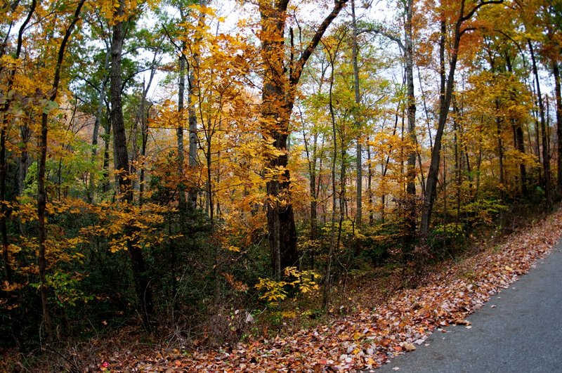DSC_3066.jpg