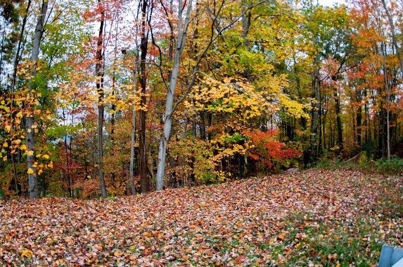 DSC_3087.jpg