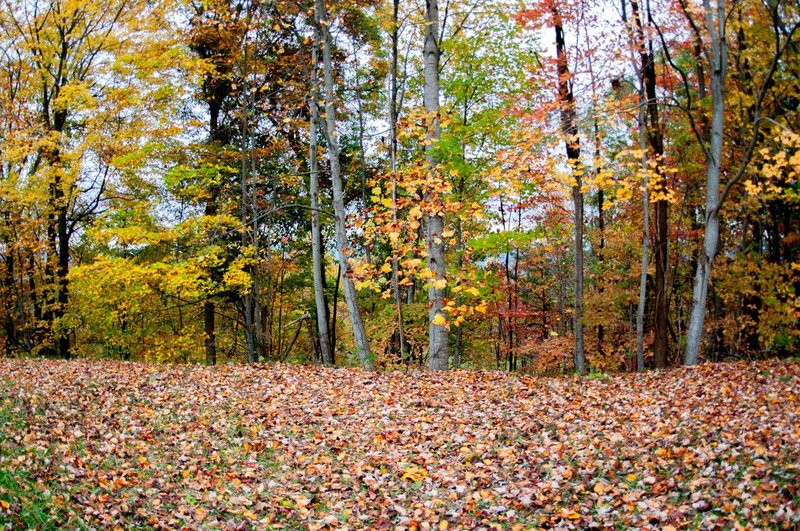 DSC_3088.jpg