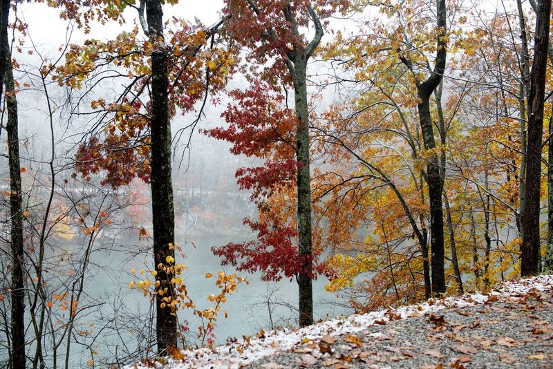 DSC_34521.jpg