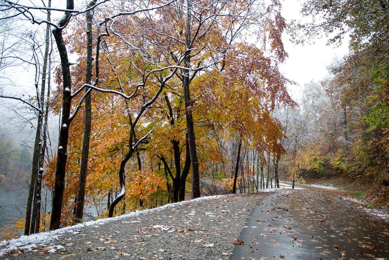 DSC_3454.jpg