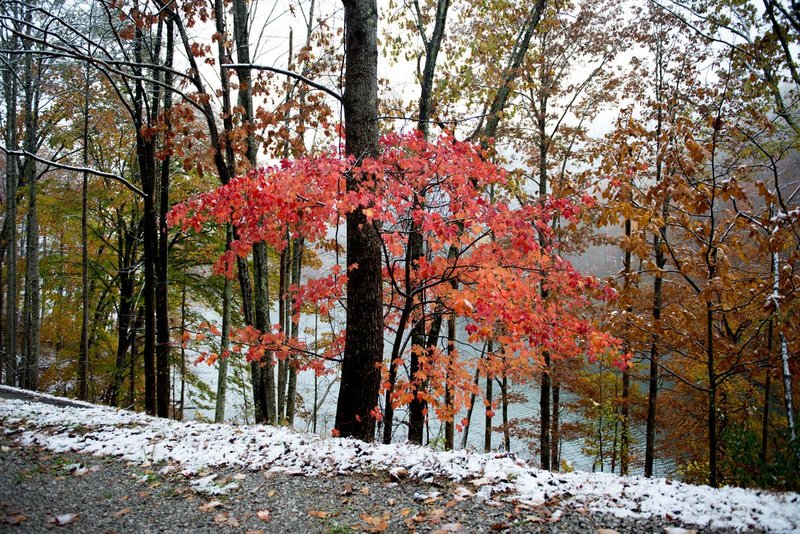DSC_34571.jpg