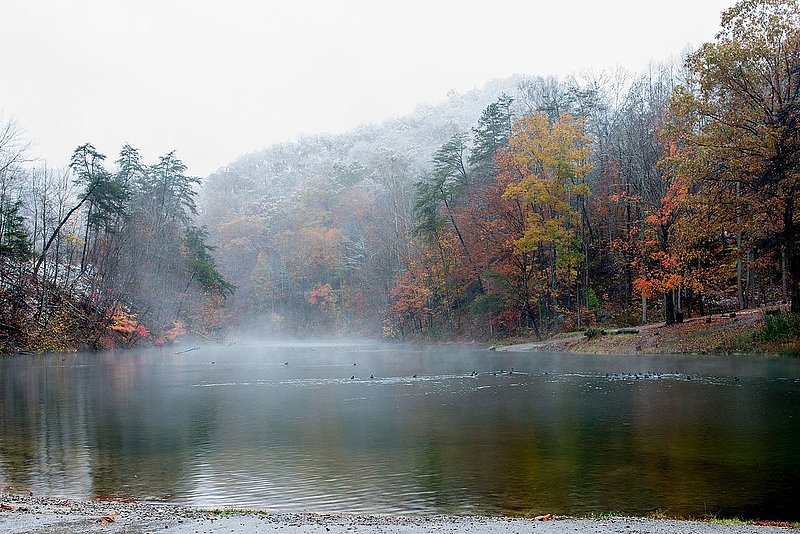 DSC_34611.jpg
