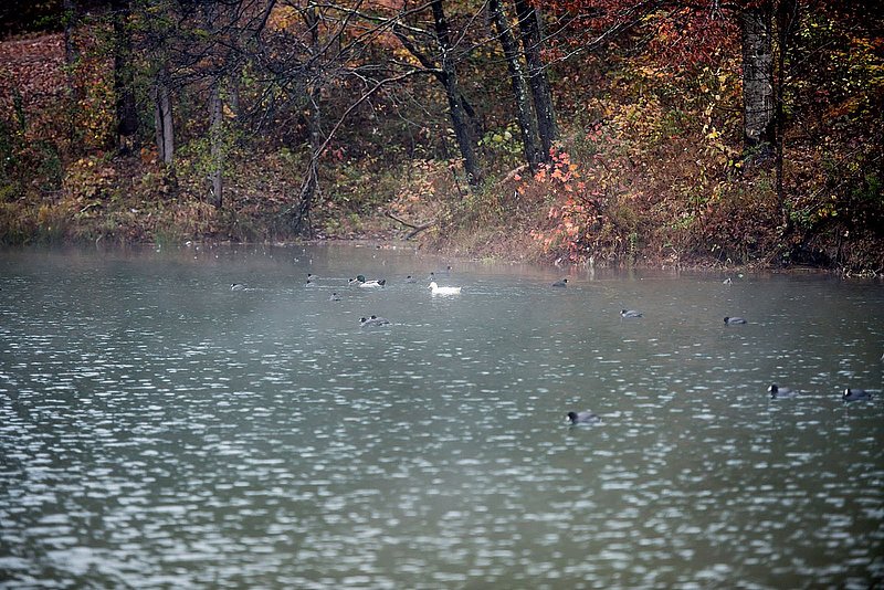 DSC_3466.jpg