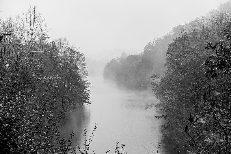 DSC_34761.jpg