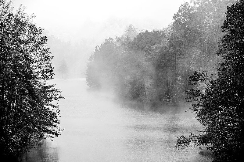 DSC_3478.jpg