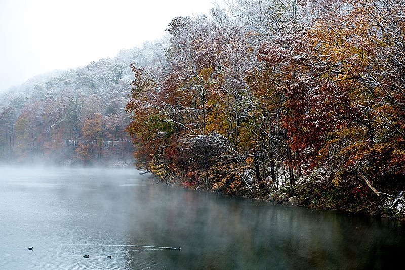 DSC_3492.jpg