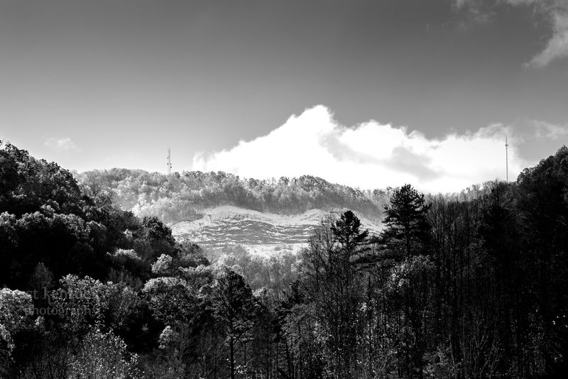 DSC_3524.jpg