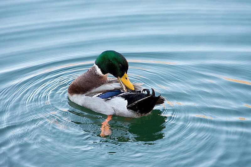 DSC_3674.jpg