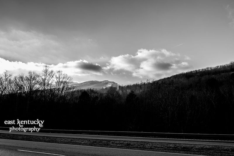 EK2_0457a.jpg