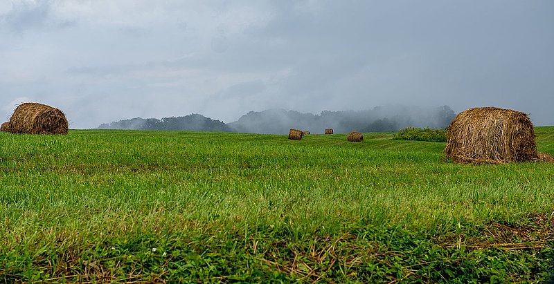 EKS_0327.jpg