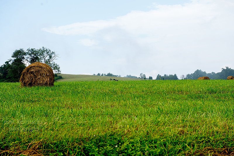 EKS_03281.jpg