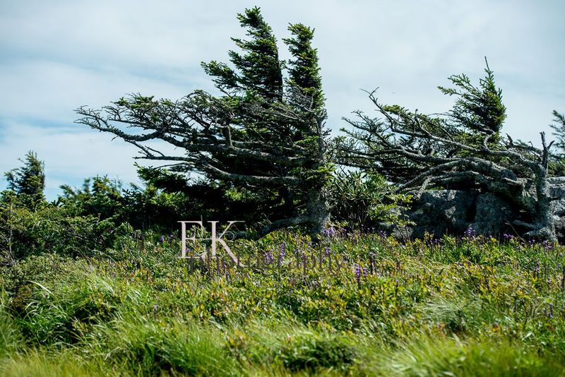 EK1_3117.jpg