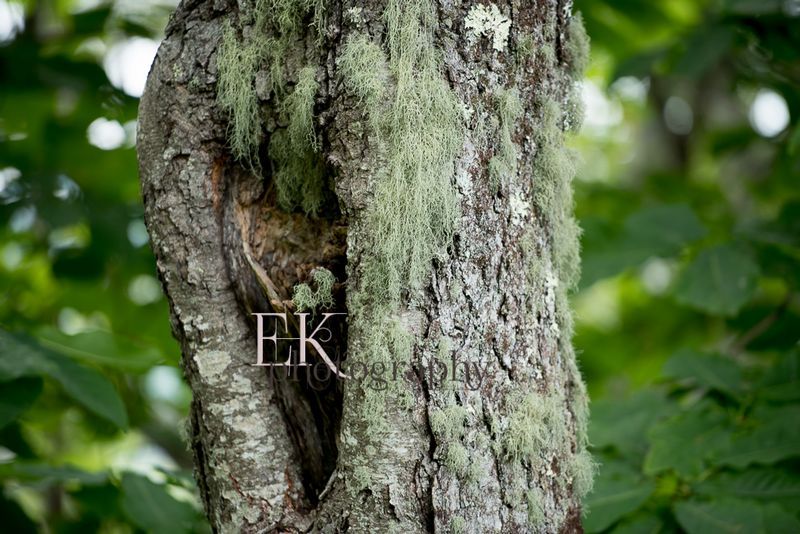 EK1_3214.jpg