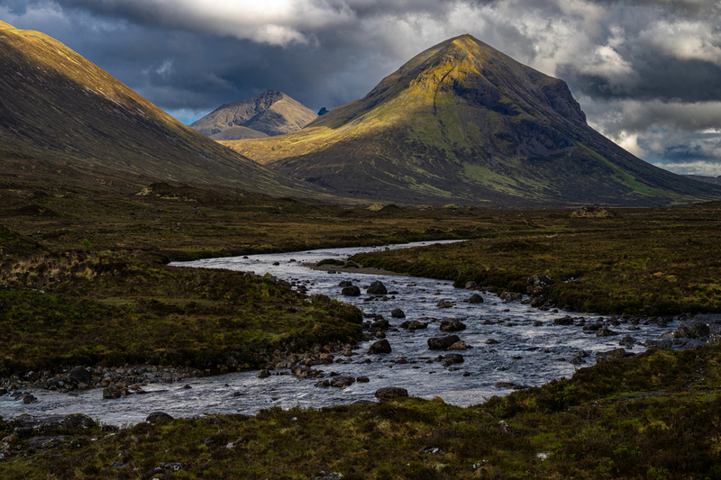 _DSC1106.jpg