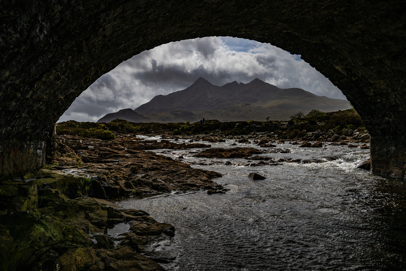 _DSC2504.jpg