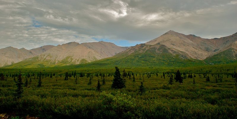 Alaskan plateau.jpg