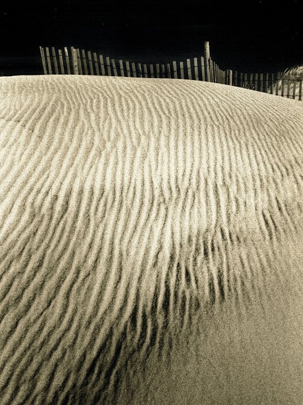 Barnegat dunes LBI NJ.jpg