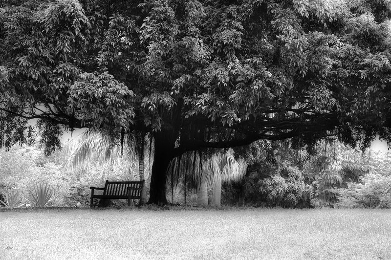 Botanical Gardens St Criox.jpg