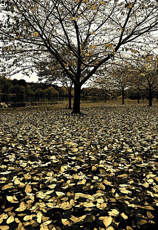 Fairmont Park Philadelphia1.jpg
