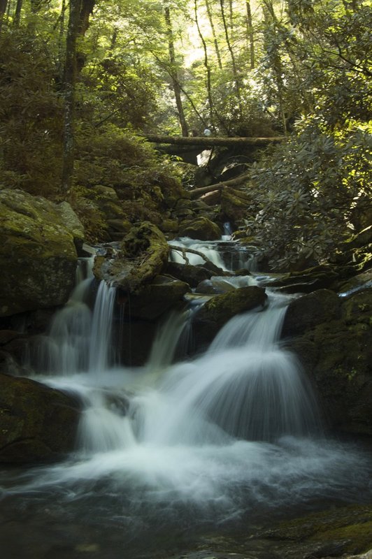 Grotto Falls Smokey Mountain NP.jpg