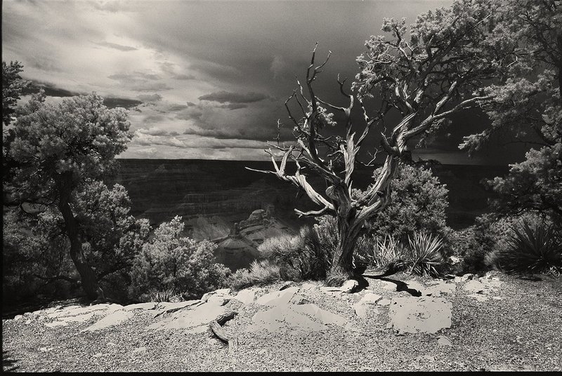 In coming stormGrand Canyon.jpg