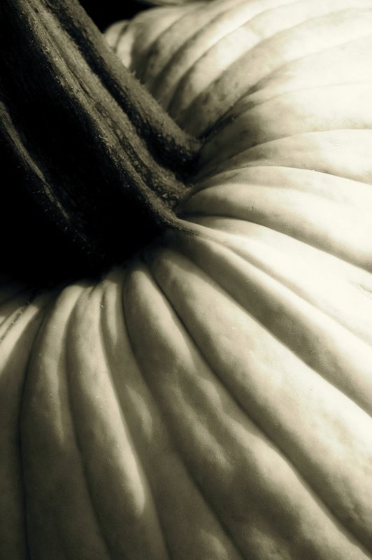 Pumpkin 2010.jpg