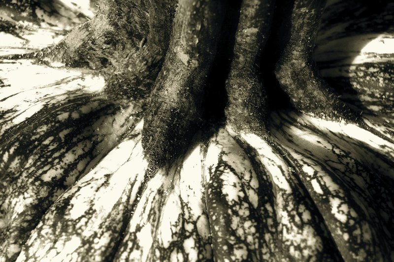 Pumpkin Detail.jpg