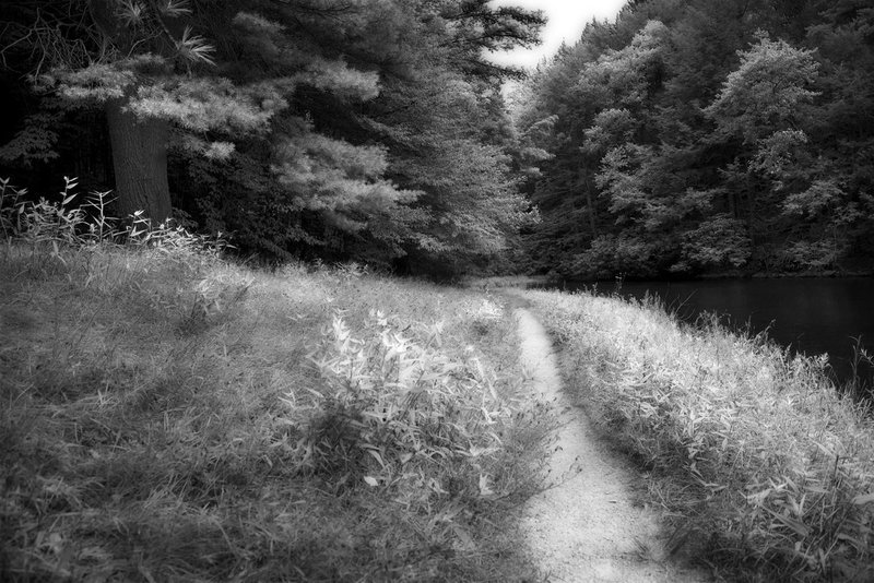 Shades of Death Trail Hickory Run SP Pa.jpg