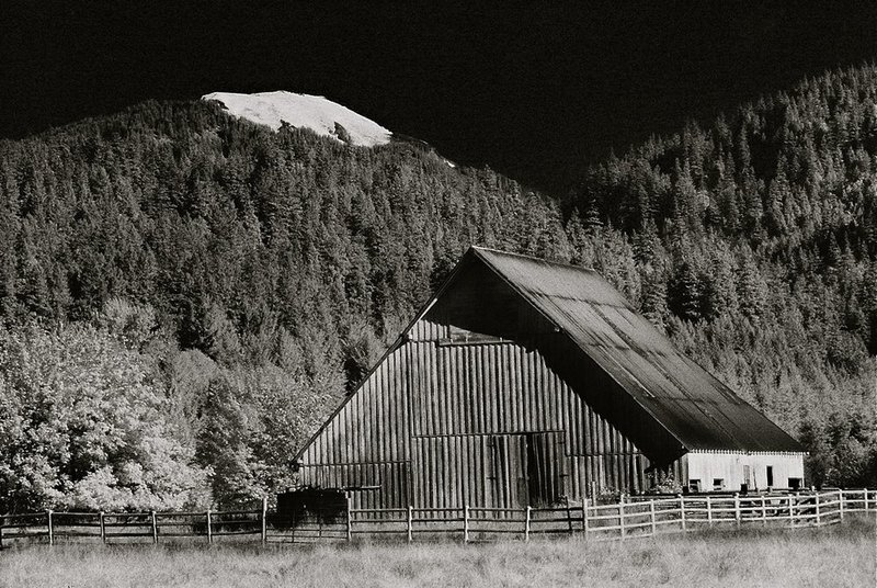 Snowcap Peak Co.jpg
