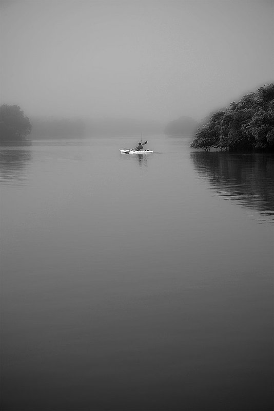 Wiggins Pass kayak.jpg