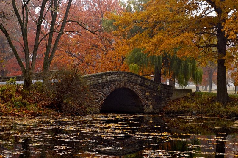 autumn bridge Cinaminson NJ.jpg