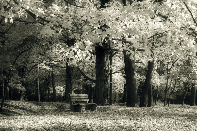 bench at Washingtons Crossing NJ.jpg