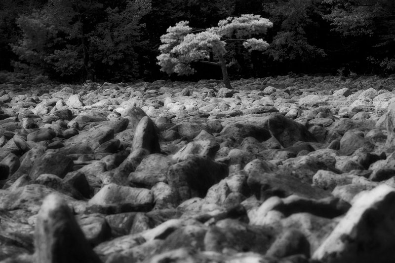 boulder field Hickory Run SP Pa.jpg