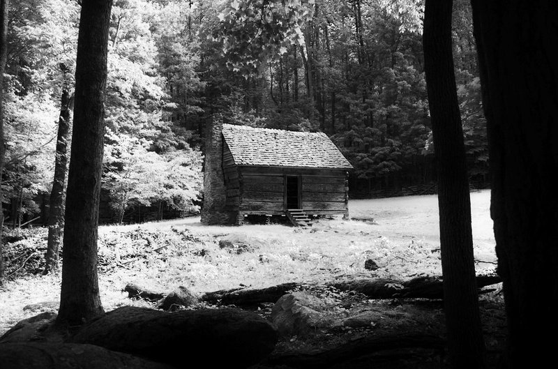 cabin in the woods S.M.NP.jpg