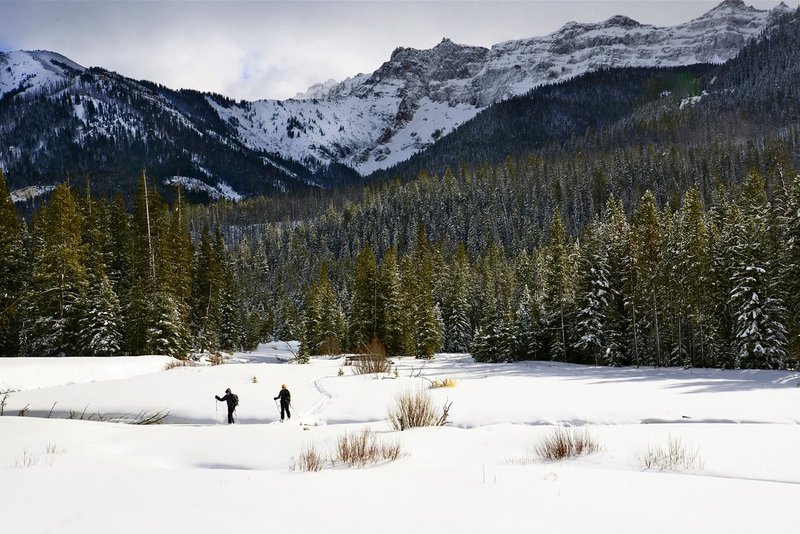 crossc ountry skiing.jpg