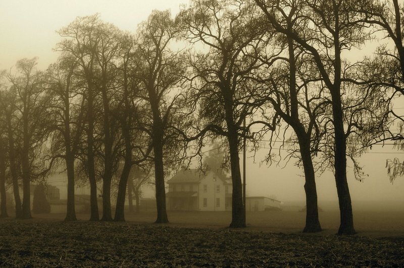 farmhouse behind trees Landcaster Pa.jpg