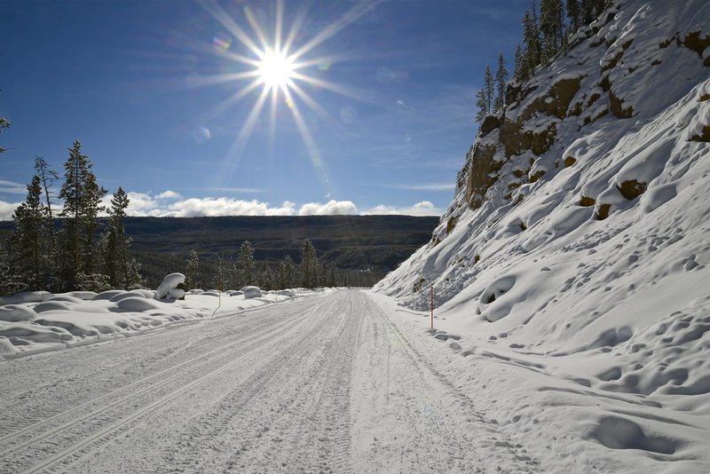 into the sun Yellowstone NP.jpg