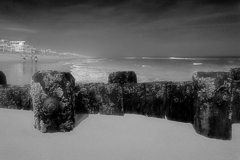 jetty in the mist.jpg
