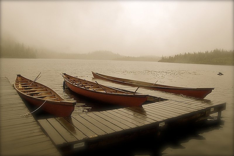 ketchikan canoes Alaska.jpg