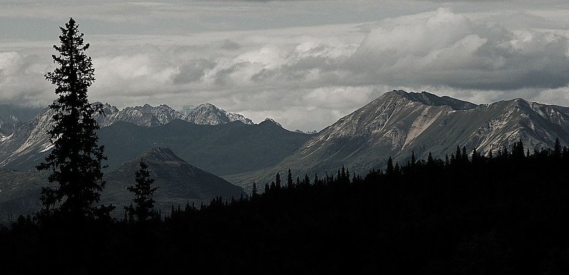 late afternoon in Denali.jpg