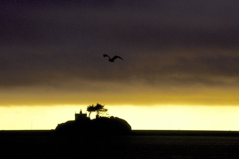 lighthouse Northern California.jpg